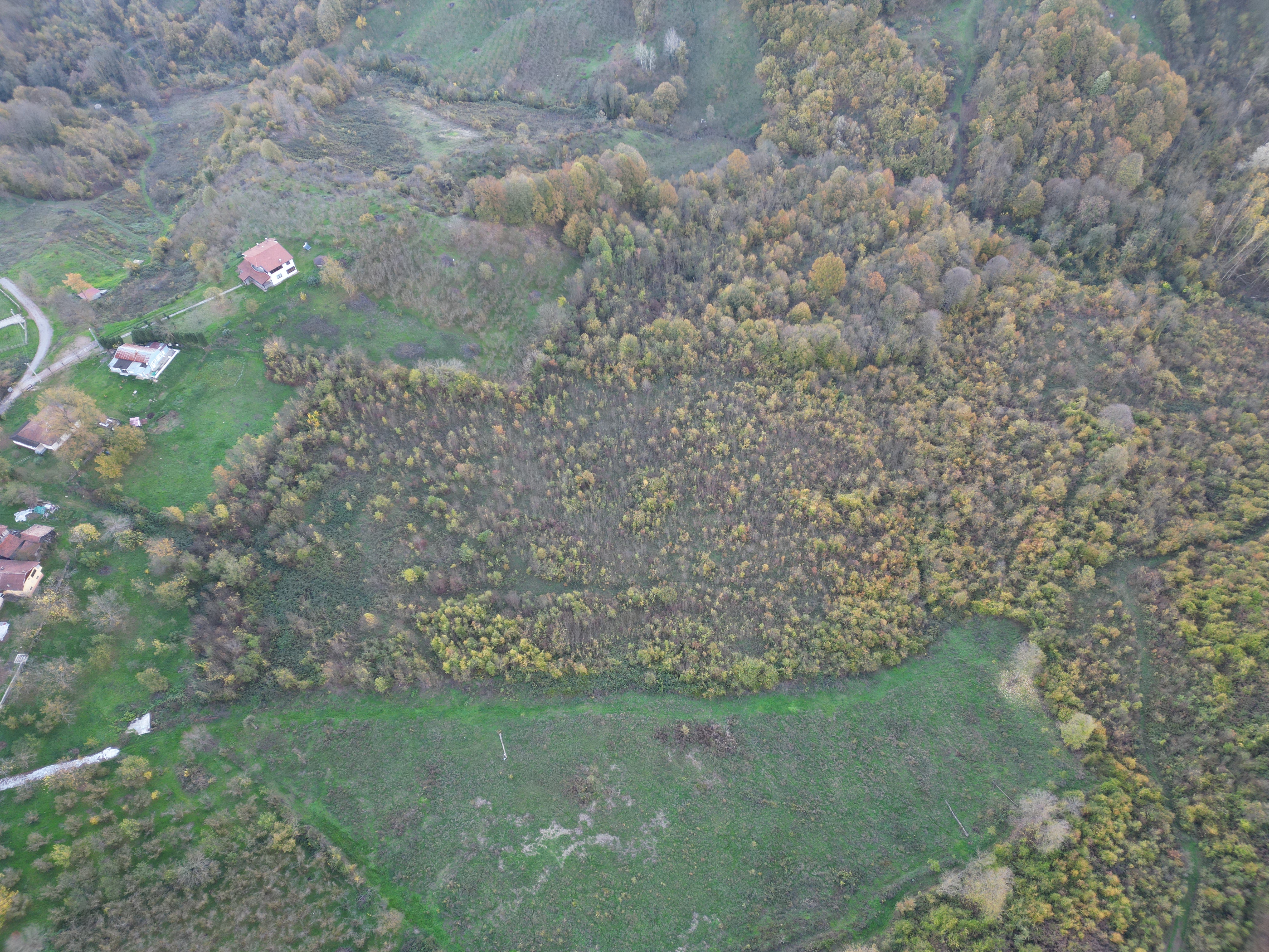 Satılık Arsa - Tagorek Mahallesi, 30000 m² 30.0 Milyon TL - Satılık Arsa fotoğraf 3