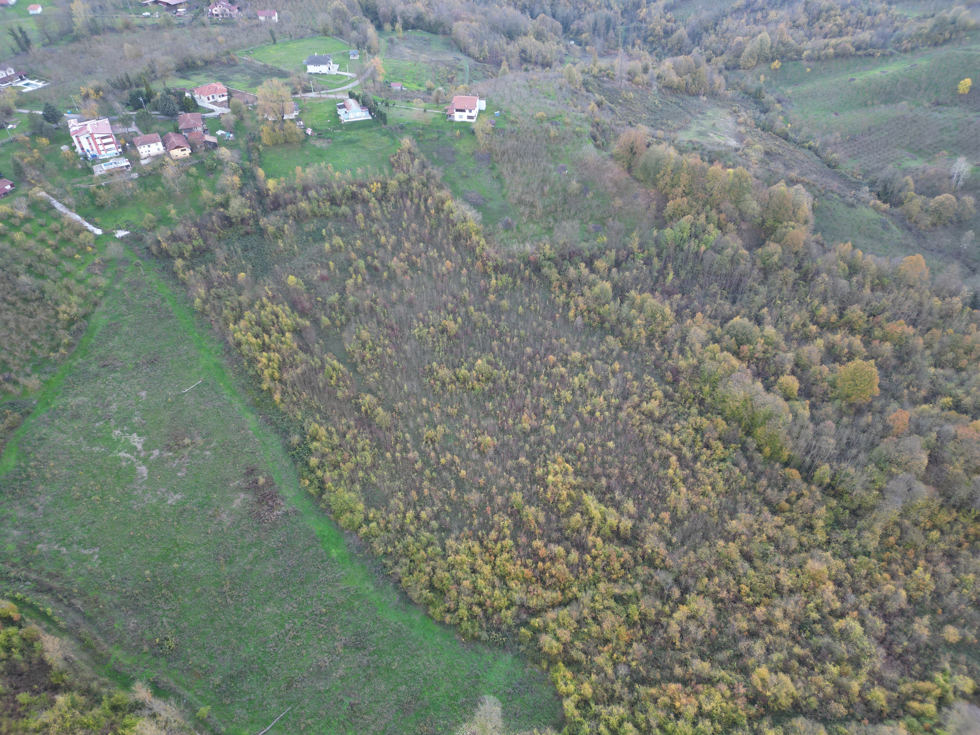 Satılık Arsa - Tagorek Mahallesi, 30000 m² 30.0 Milyon TL - Satılık Arsa fotoğraf 6