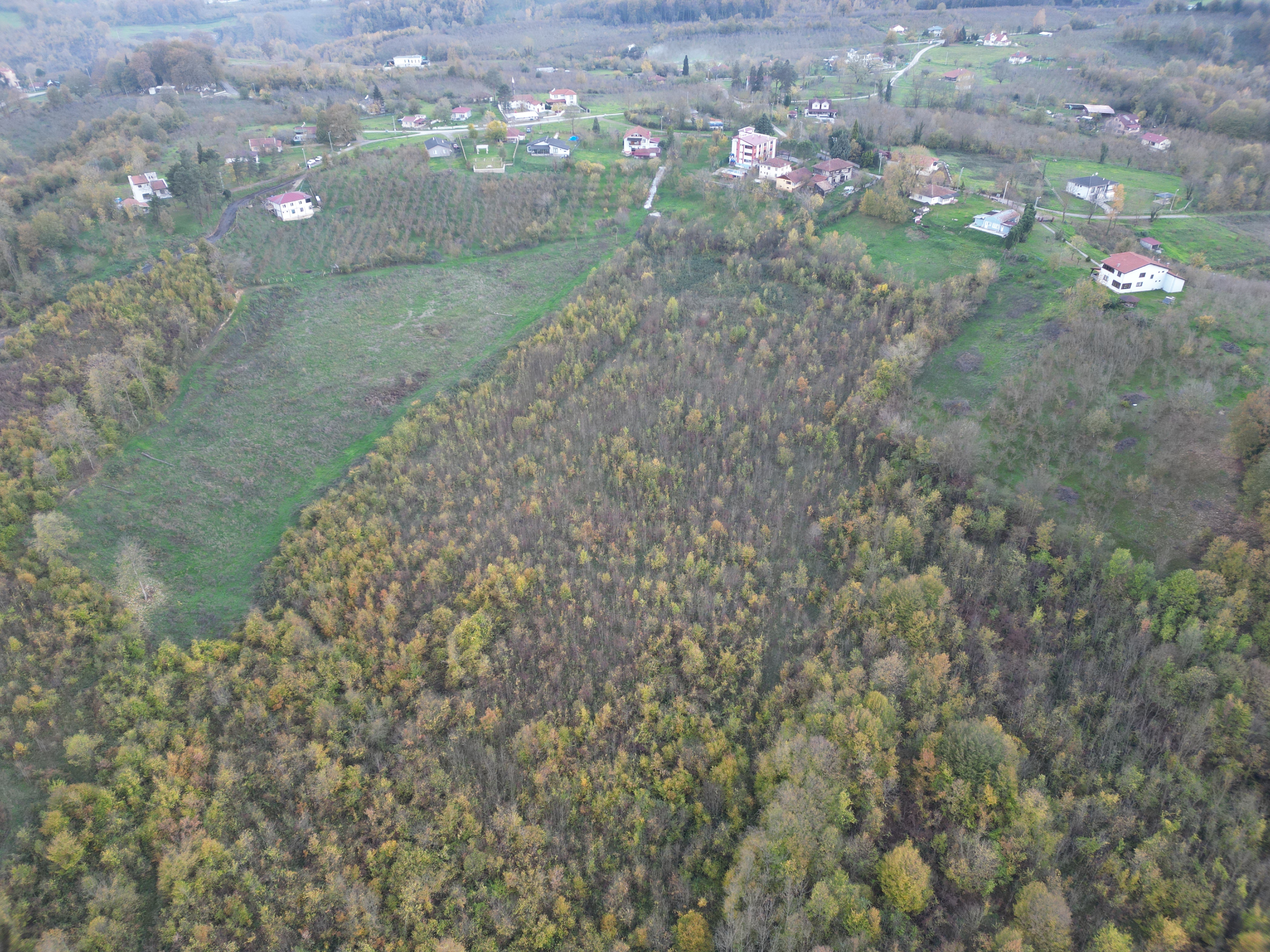 Satılık Arsa - Tagorek Mahallesi, 30000 m² 30.0 Milyon TL - Satılık Arsa fotoğraf 8