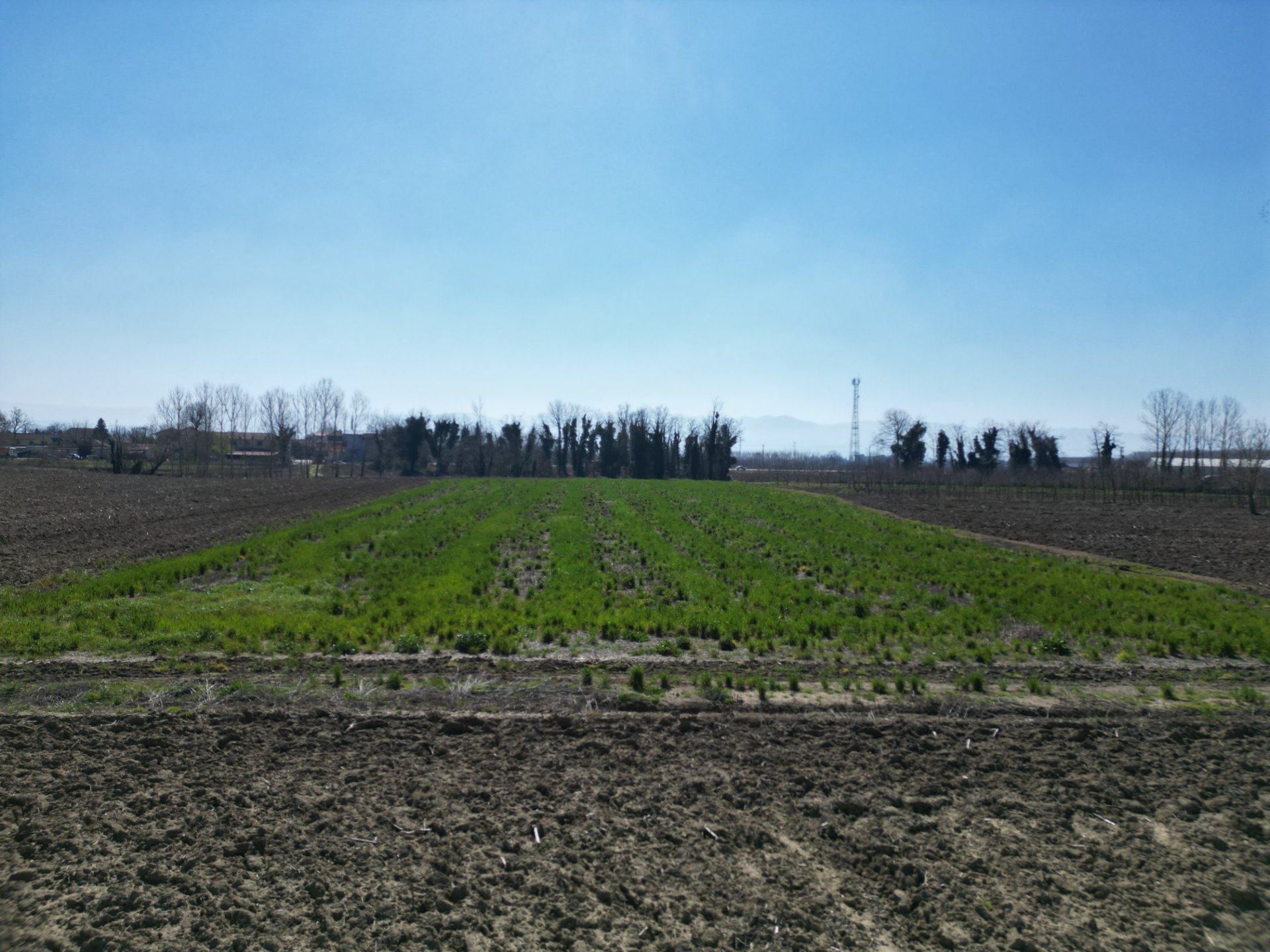 Satılık Arsa - Sofular Mahallesi, 7724 m² 6.8 Milyon TL - Satılık Arsa fotoğraf 2