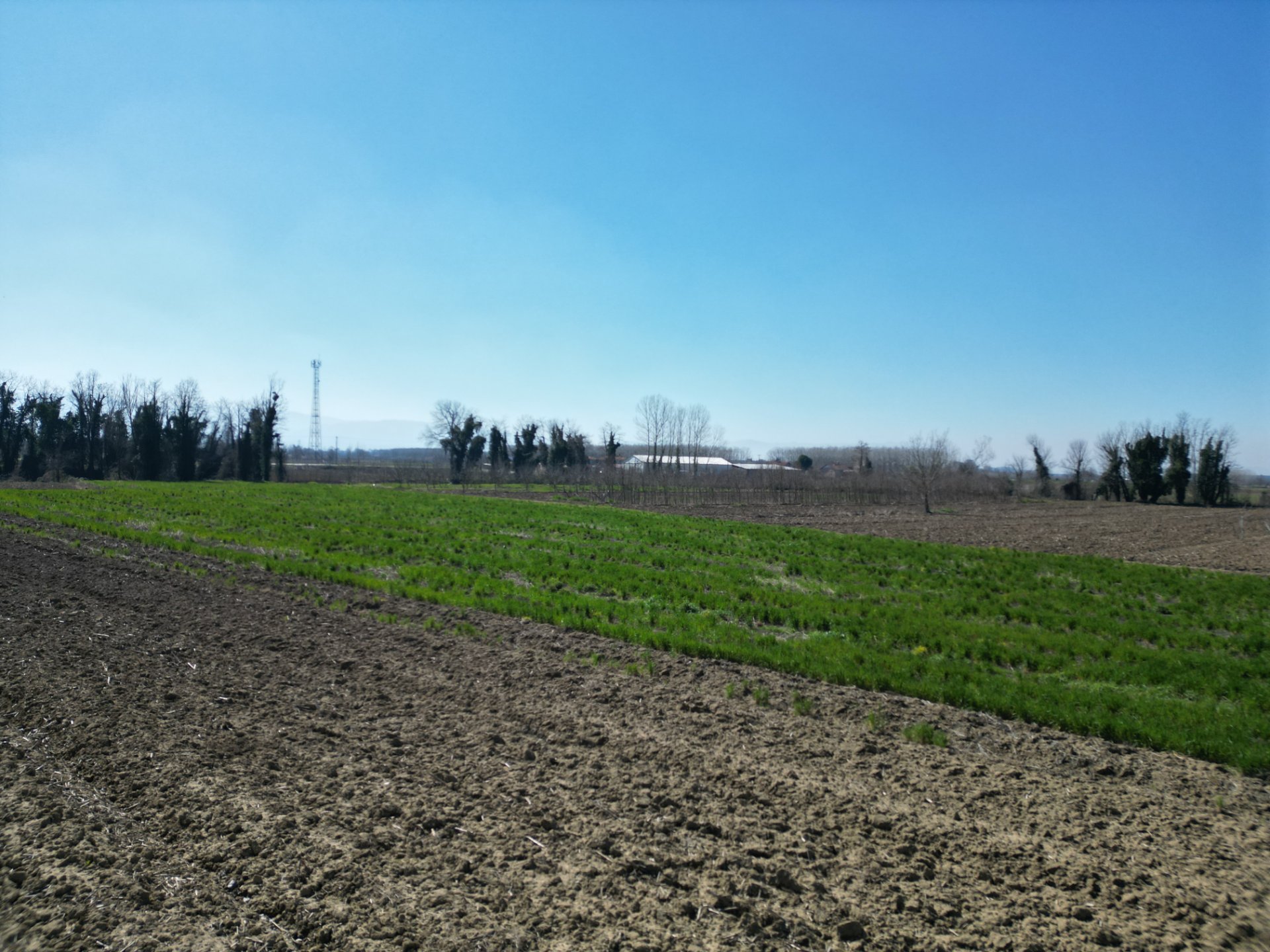 Satılık Arsa - Sofular Mahallesi, 7724 m² 6.8 Milyon TL - Satılık Arsa fotoğraf 3