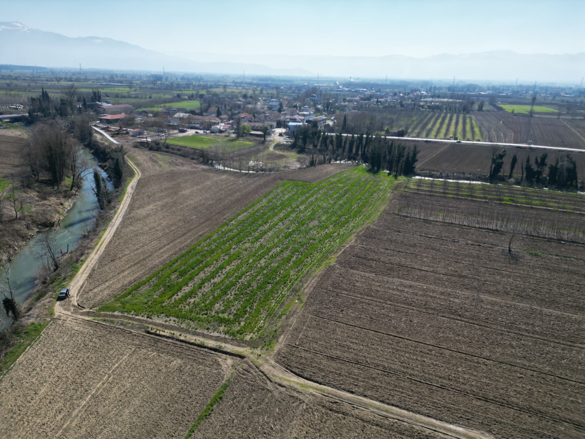 Satılık Arsa - Sofular Mahallesi, 7724 m² 6.8 Milyon TL - Satılık Arsa fotoğraf 6