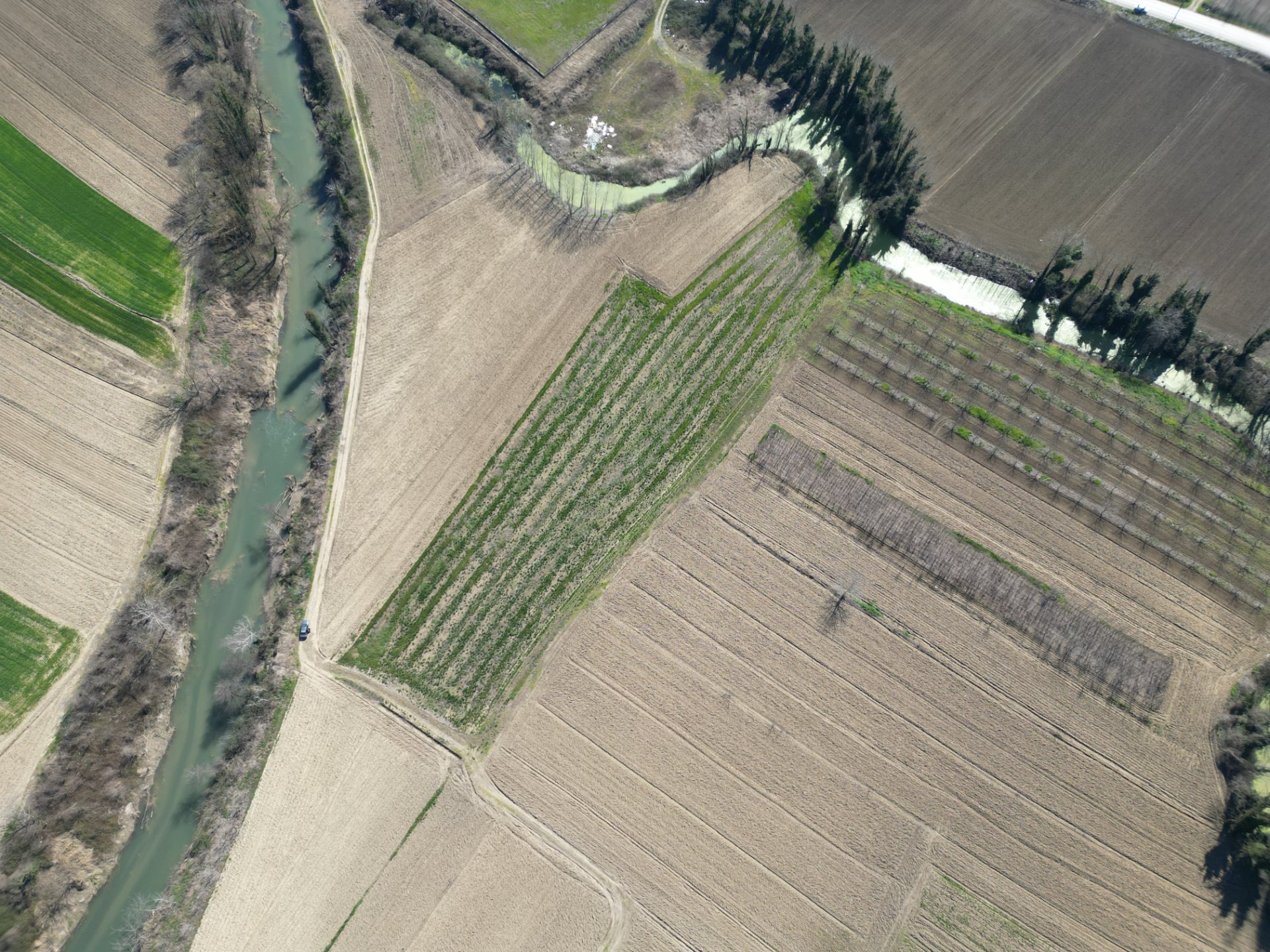 Satılık Arsa - Sofular Mahallesi, 7724 m² 6.8 Milyon TL - Satılık Arsa fotoğraf 12