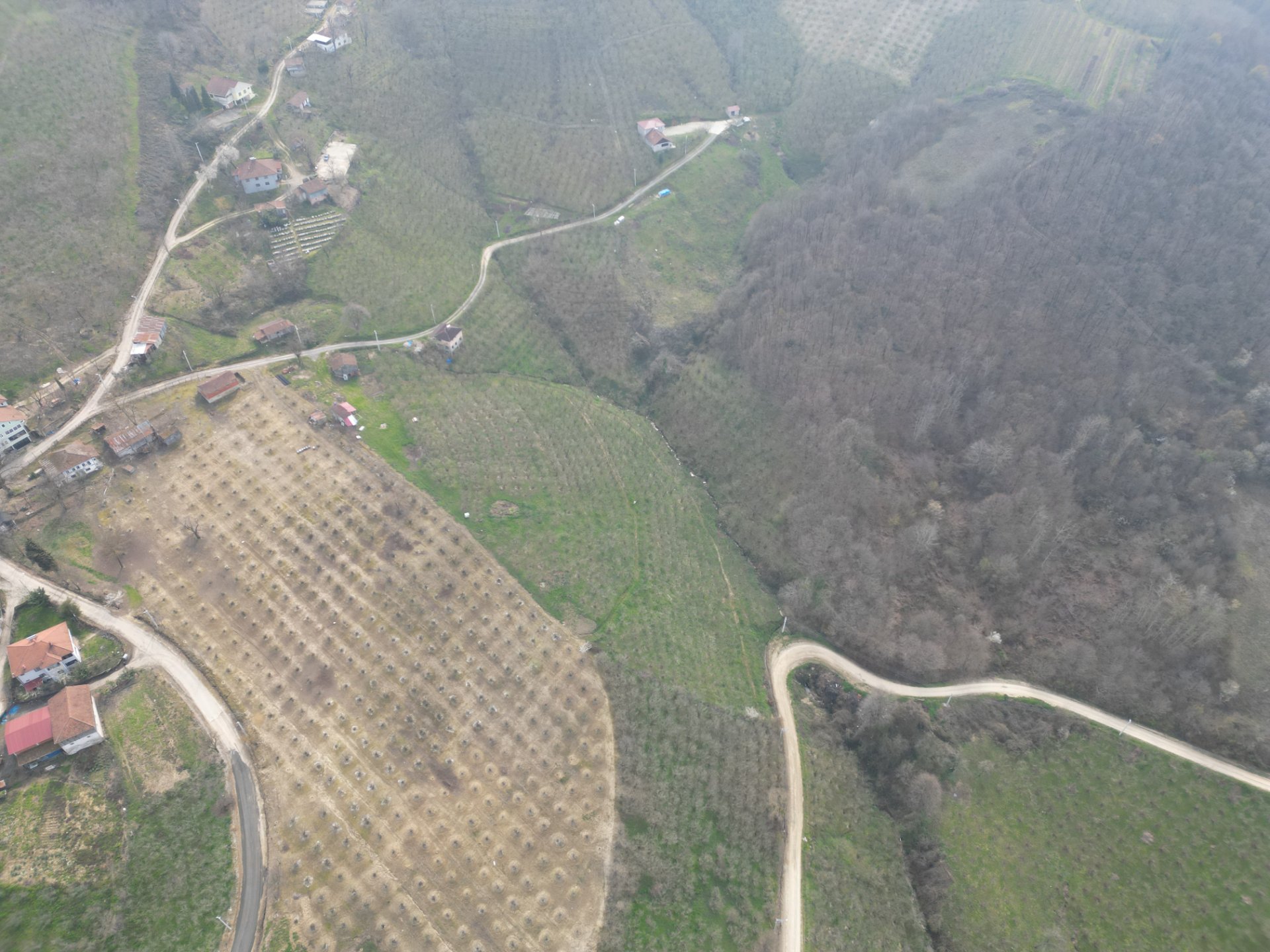 Sakarya Hendek Karaçökek Satılık Tarla 29.780 m² – Büyük Yatırımlık Arazi - Satılık Tarla fotoğraf 5