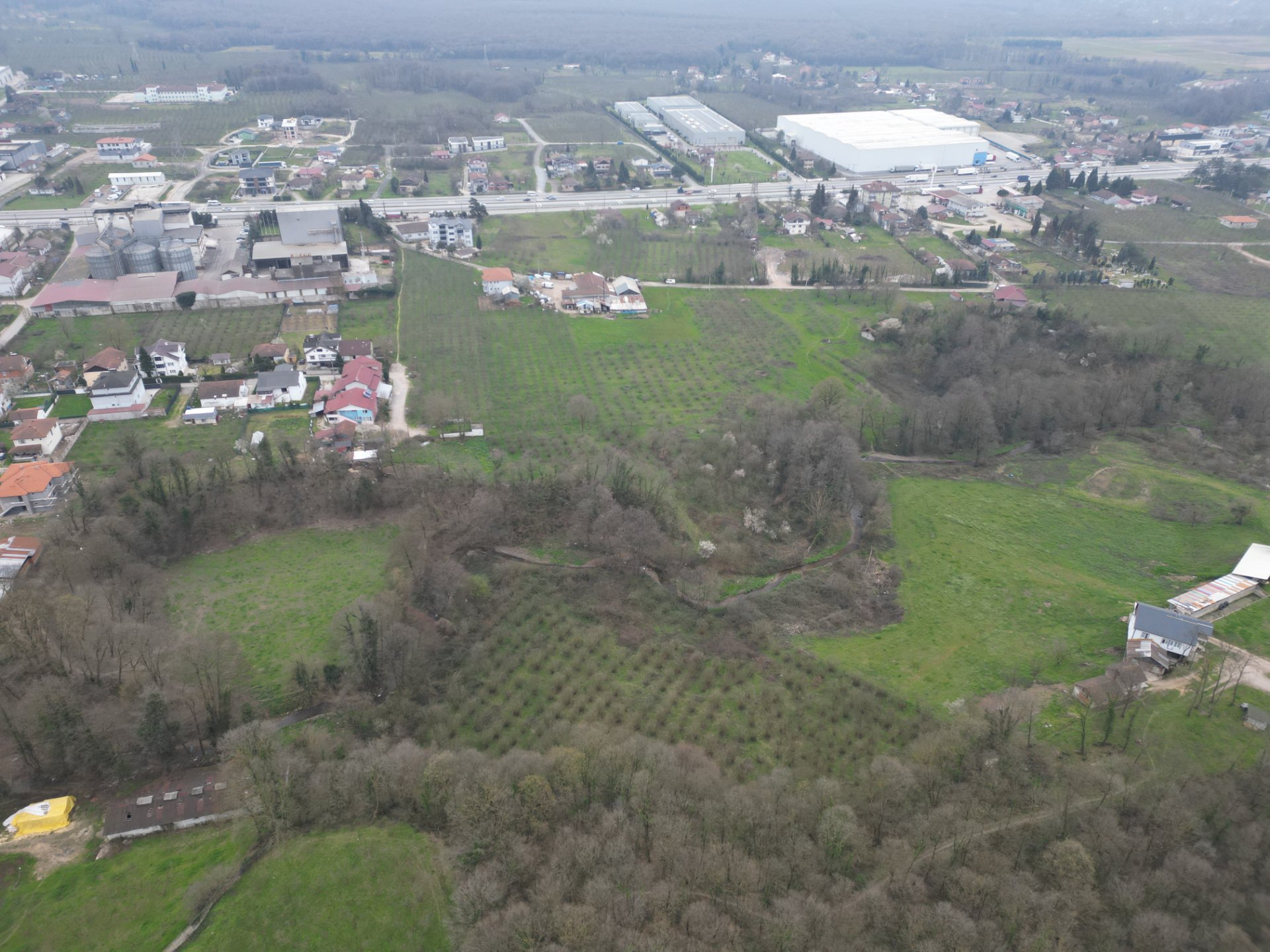 Sakarya Hendek Lütfiyeköşk Toplu Satılık Fındık Bahçesi – 5.785 m² - Satılık Arsa fotoğraf 8